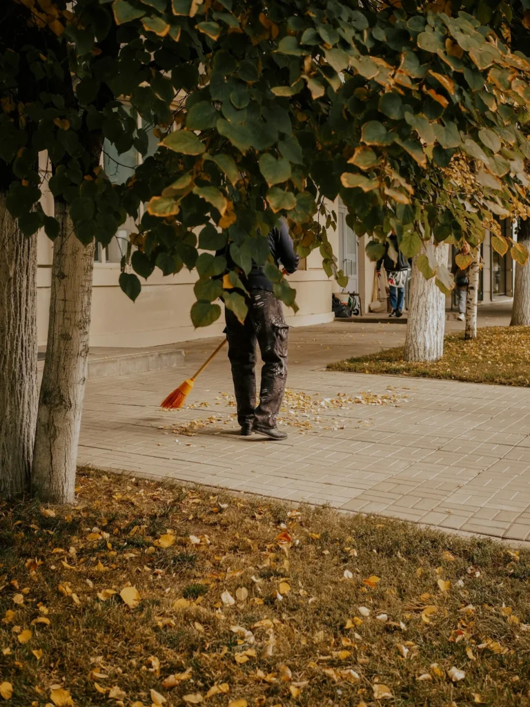 janitor sweeps the foliage in the fall on an outdoor city street